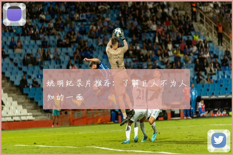 姚明纪录片推荐：了解巨人不为人知的一面